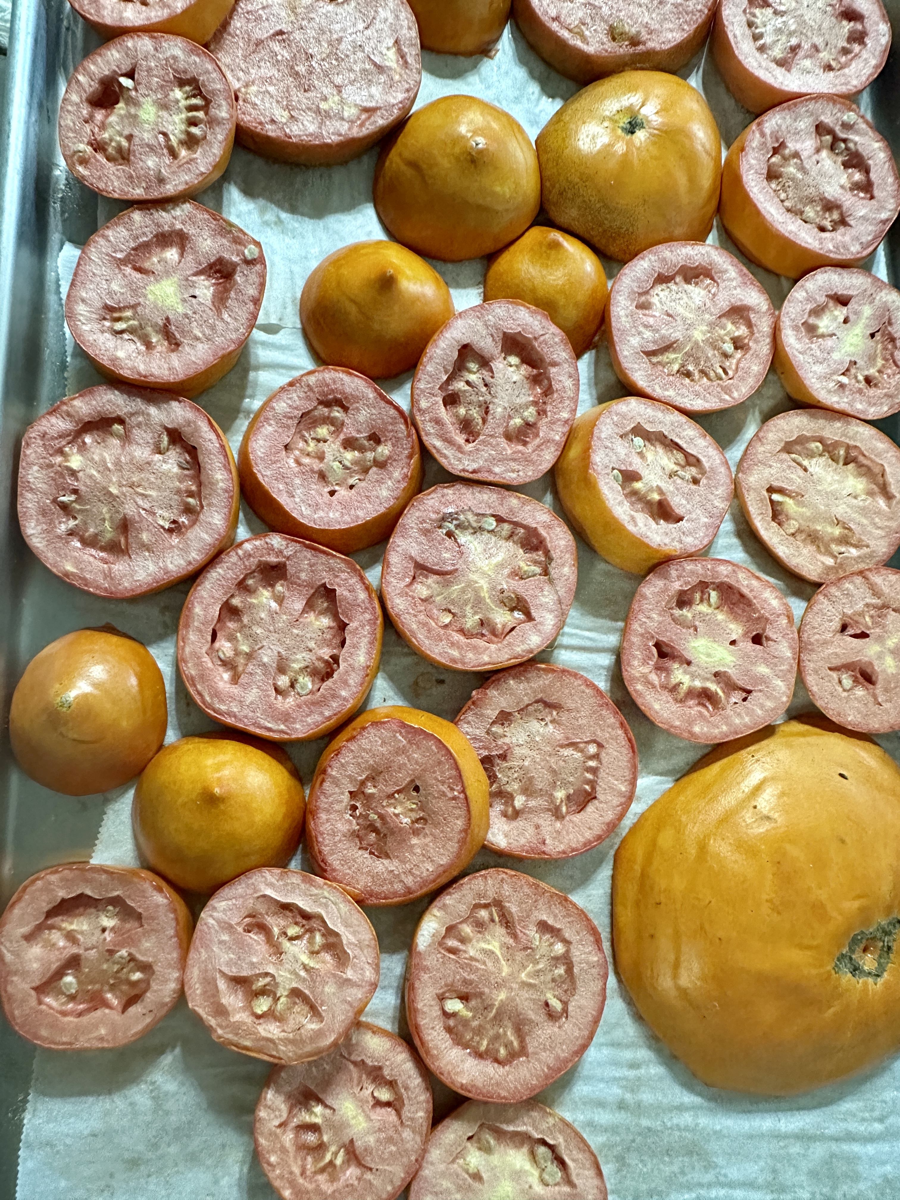 Garden Wrap-UP